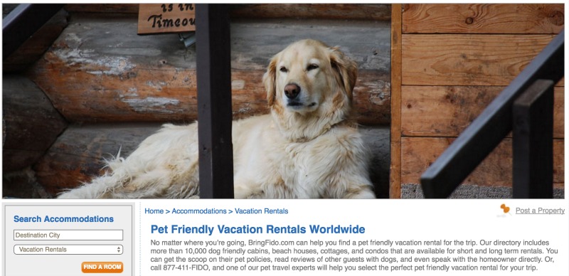vacation rental niches - dog friendly